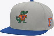 Mitchell & Ness Men's Mitchell & Ness  Gray/Royal Florida Gators Plaid OG Snapback Hat