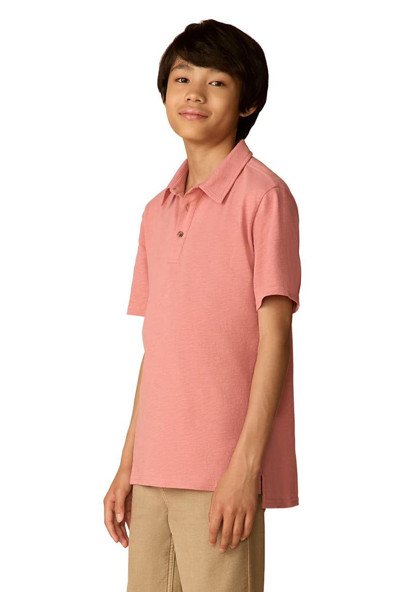 Kids' Sun Washed Organic Cotton Polo, Alternate, color, FADED FLAG