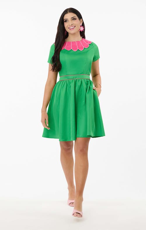 Smak Parlour Petal Collar Flare Dress In Green
