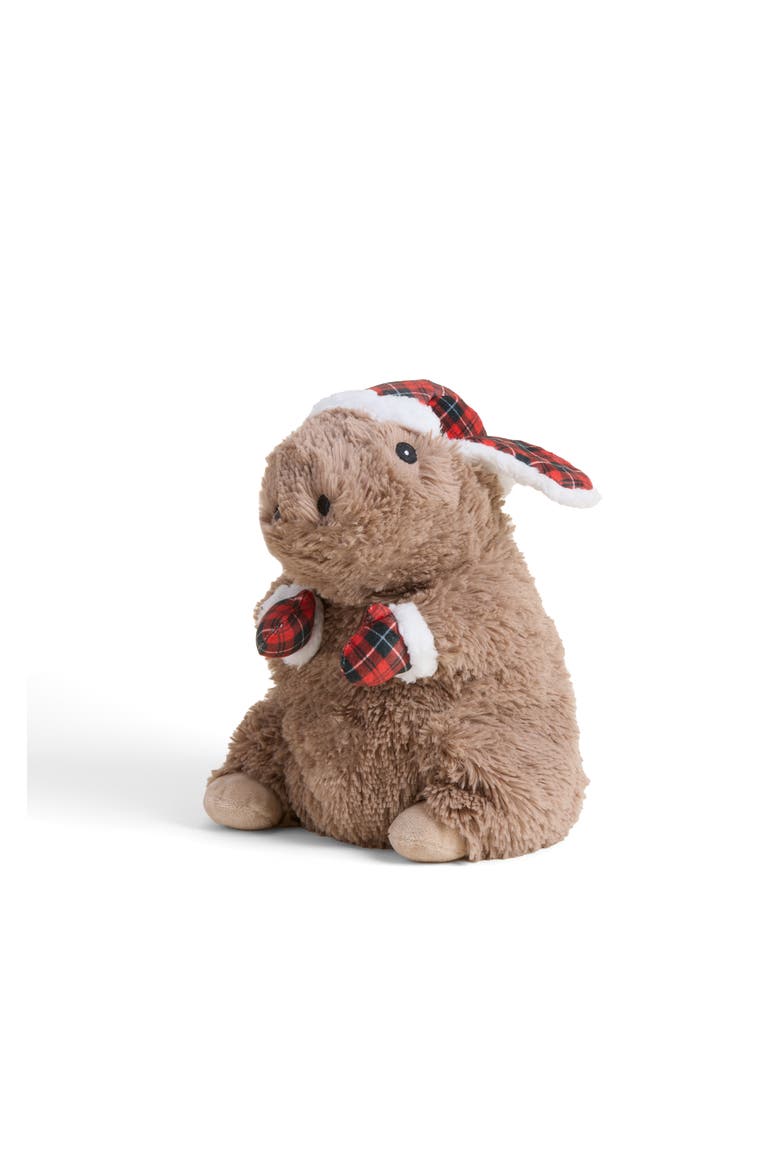 Cozy Capybara Plush Toy, Main, color, Brown