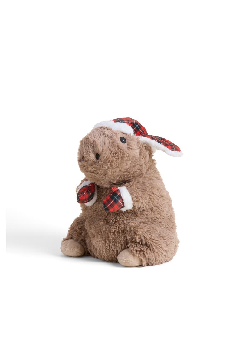 Warmies Cozy Capybara Plush Toy, Main, color, 