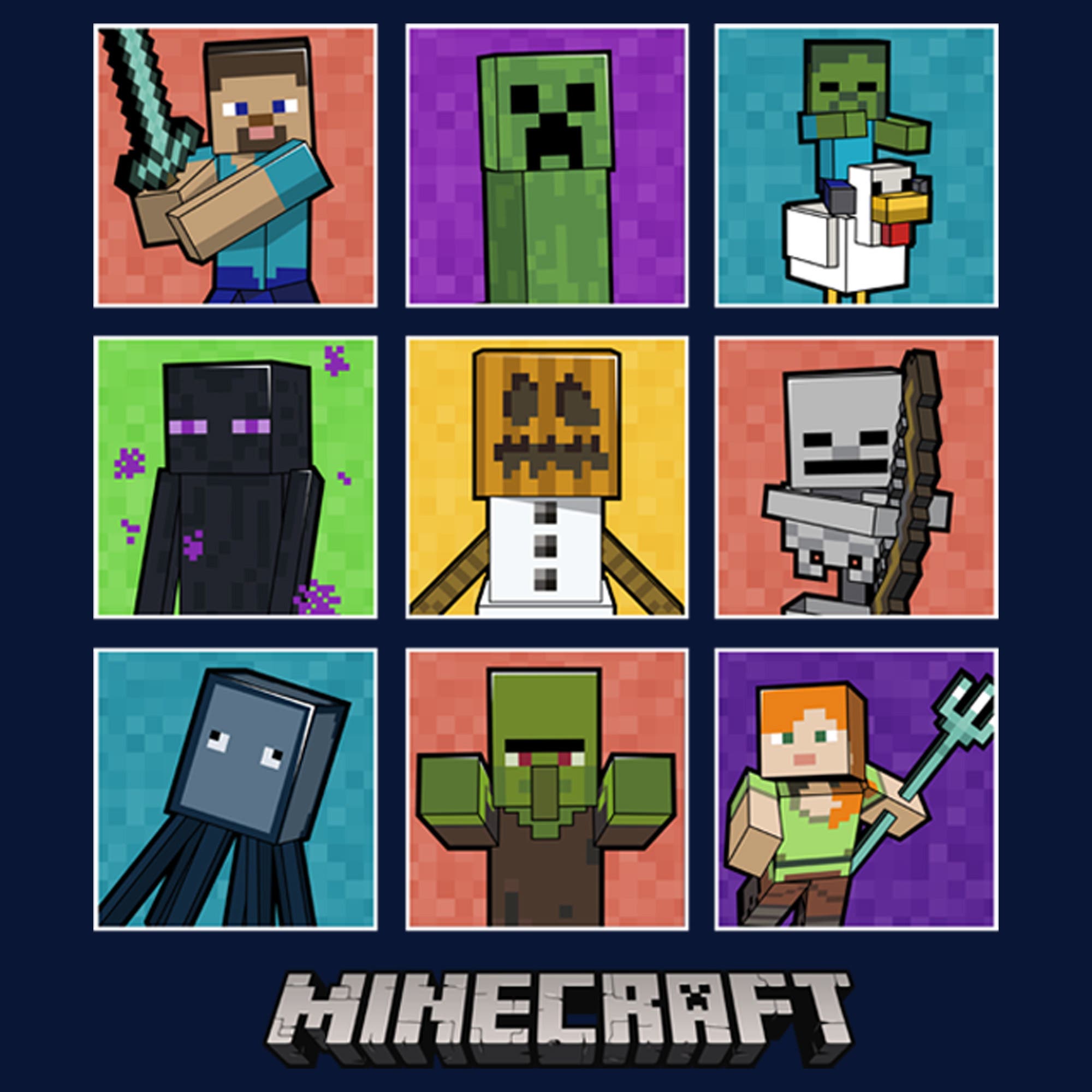 MINECRAFT Boys' Husky Plus Character Boxes Short Sleeve Graphic T-Shirt ...