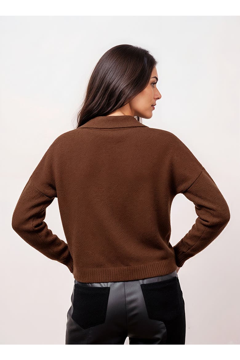 Robbie V-Neck Polo, Alternate, color, CHOCOLATE