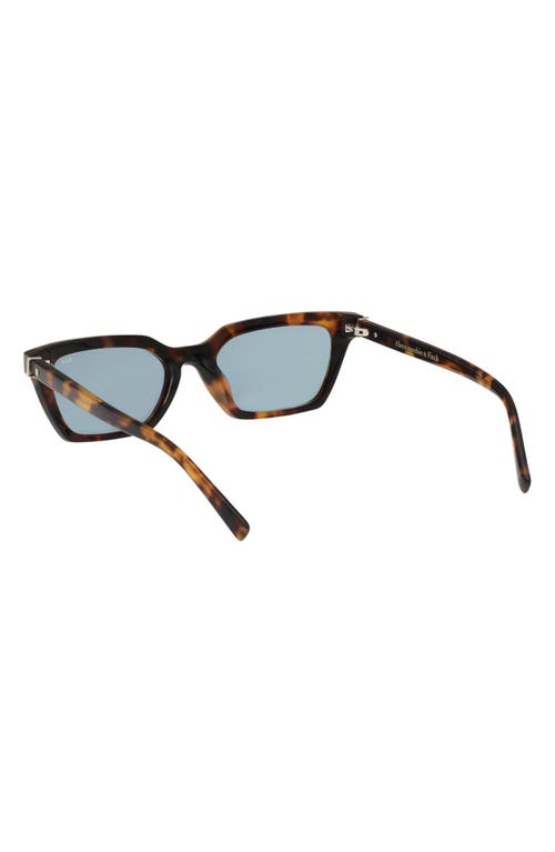 Abercrombie & Fitch 52mm Cat Eye Sunglasses In Black