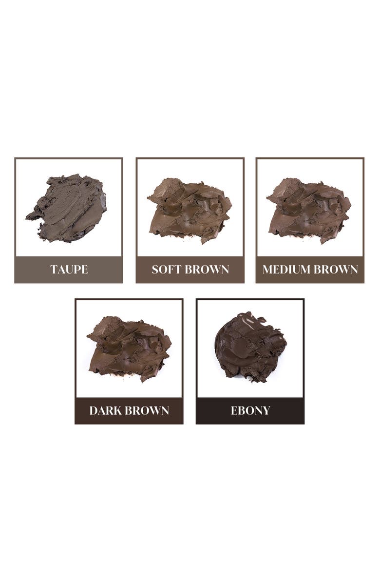 Anastasia Beverly Hills No Fade Brow Set, Alternate, color, 