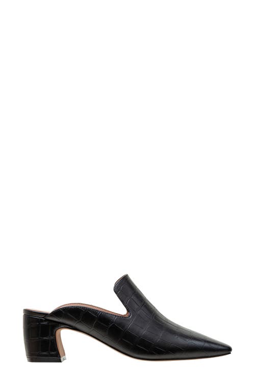 Linea Paolo Giselle Croc Embossed Mule In Black