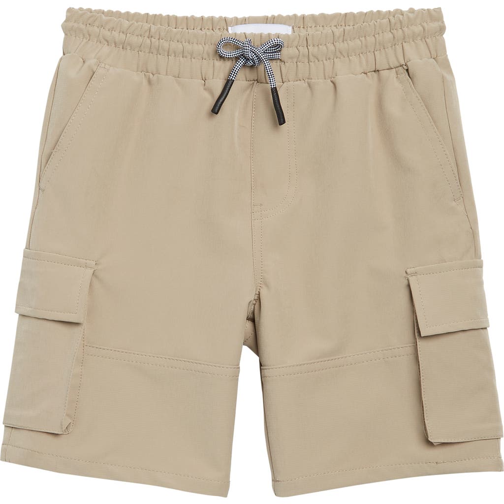 Sovereign Code Kids' Command Cargo Shorts In Stone