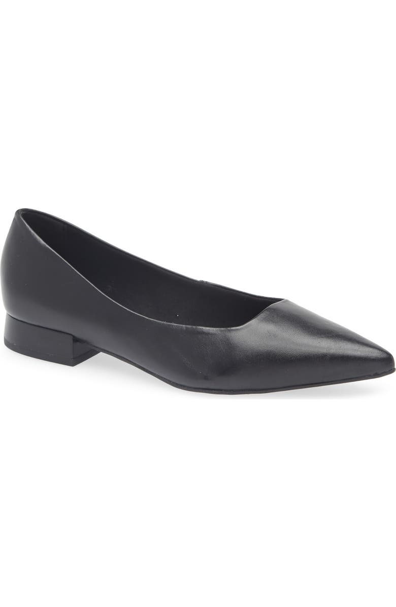 Bottero Alessandra Pointed Toe Ballet Flat, Main, color, Preto