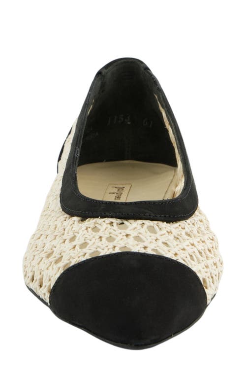 Paul Green Daisy Pointed Toe Flat In Pattern