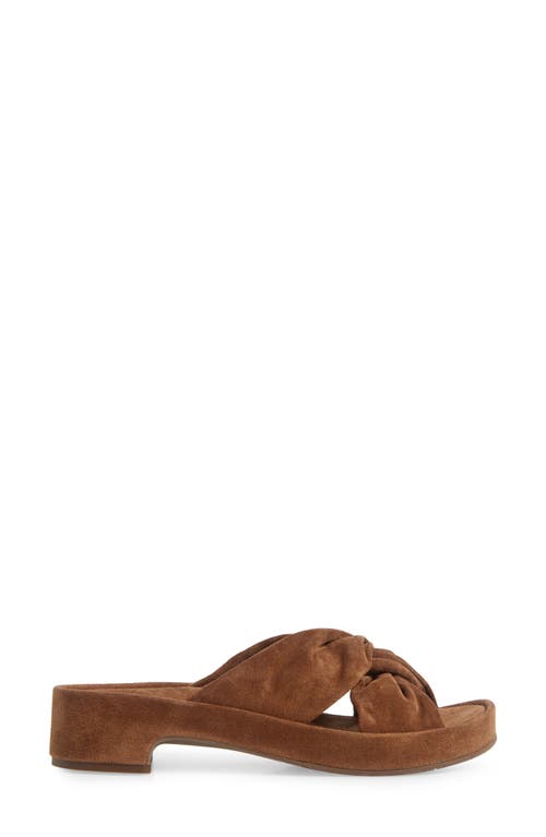 Pedro Garcia Livana Block Heel Sandal In Brown