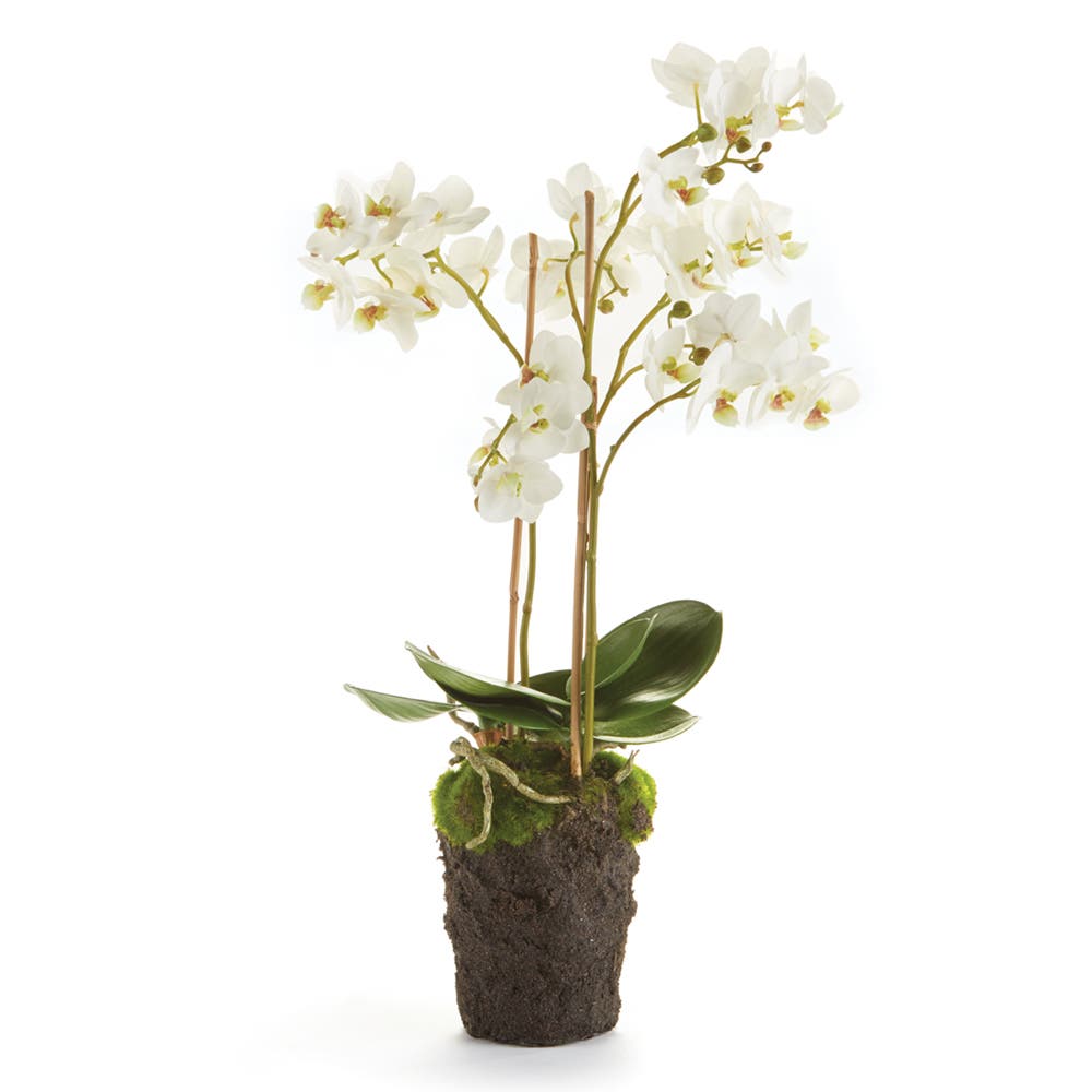 selected White