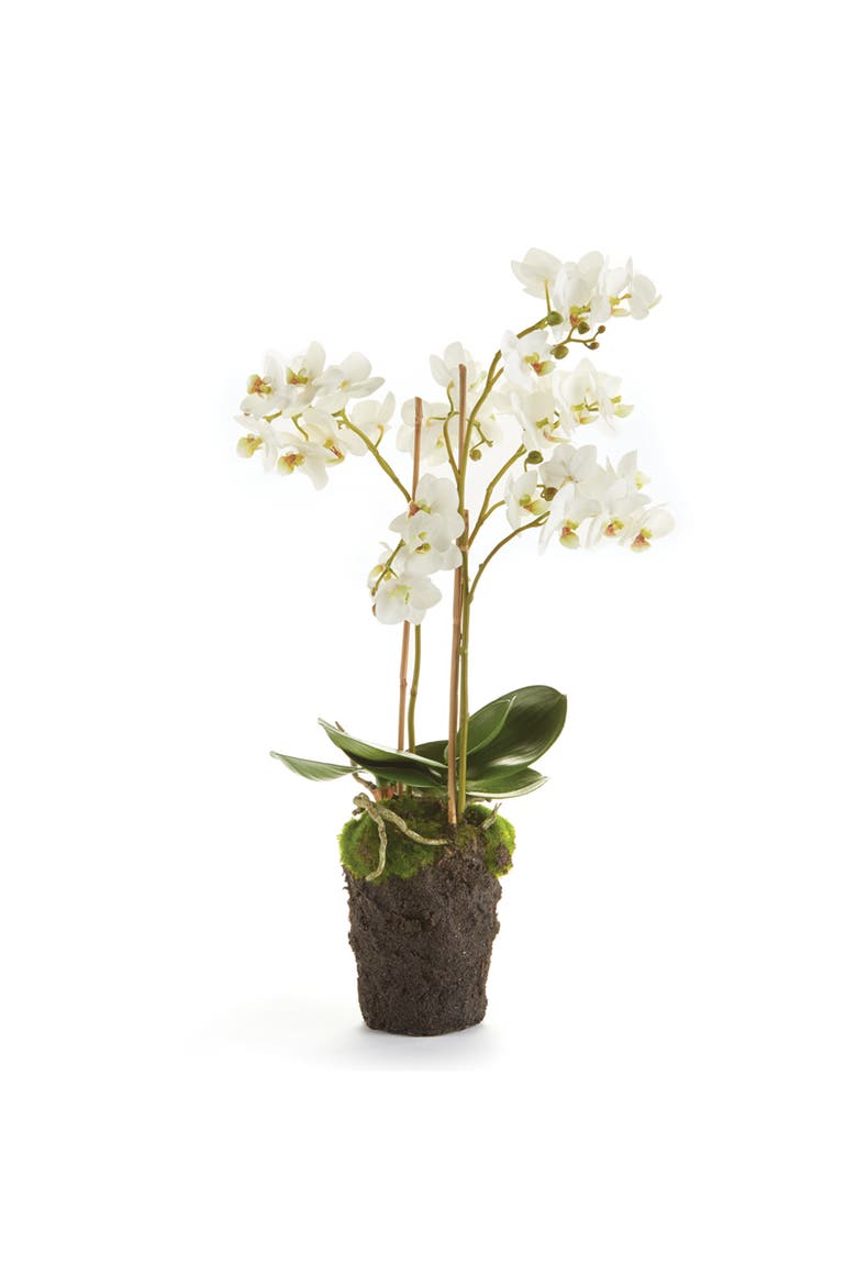 Phalaenopsis Orchid Faux (Fake) Drop-In 20", Main, color, White