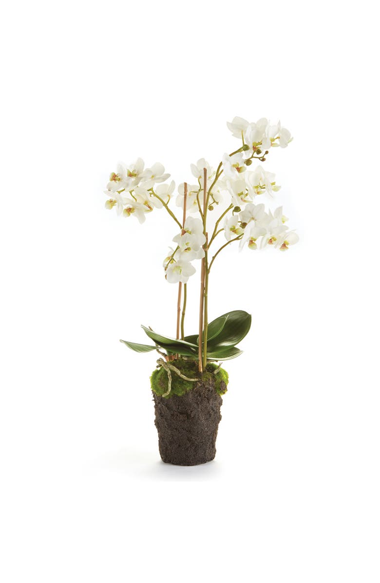 Napa Home & Garden Phalaenopsis Orchid Faux (Fake) Drop-In 20", Main, color,