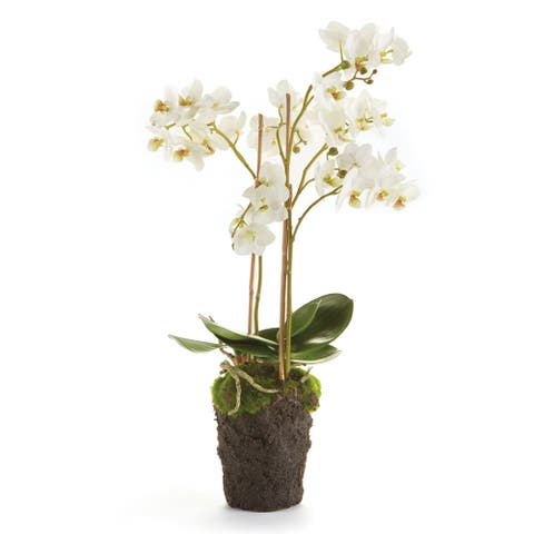Phalaenopsis Orchid Faux (Fake) Drop-In 20"