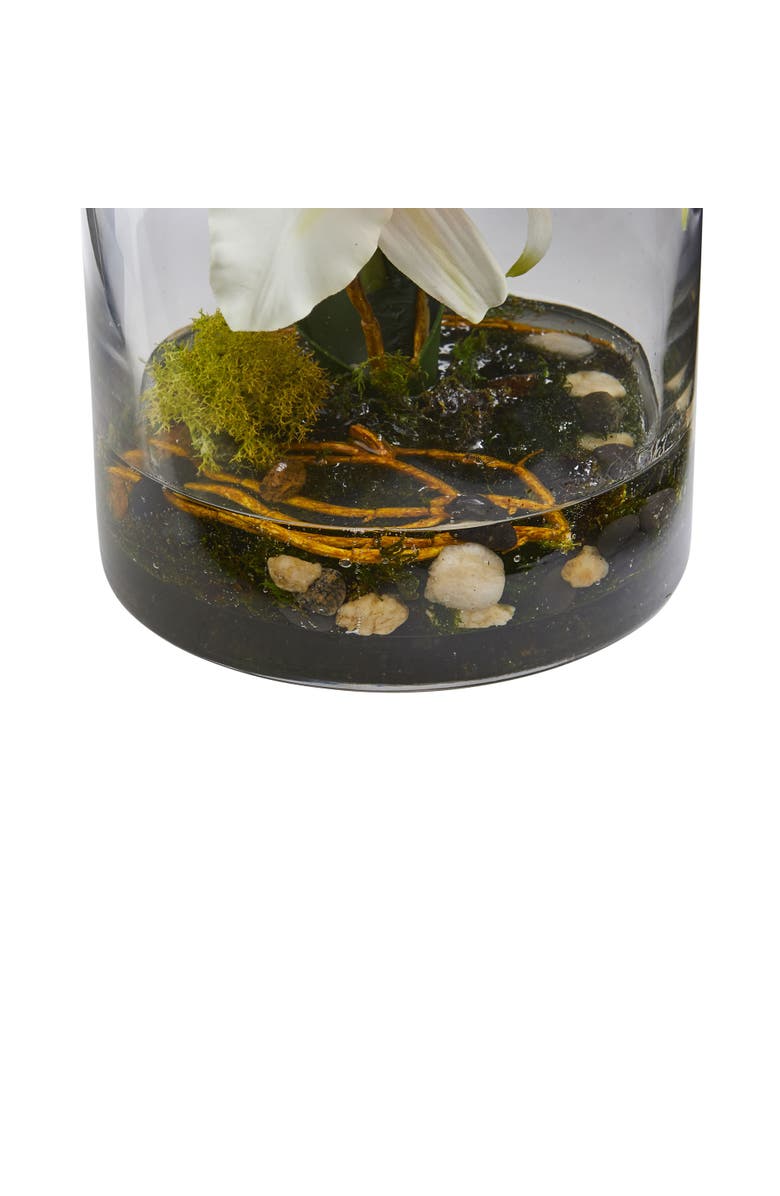 NEARLY NATURAL Cattleya Orchid Artificial Arrangement in Cylinder Vase, Alternate, color, White