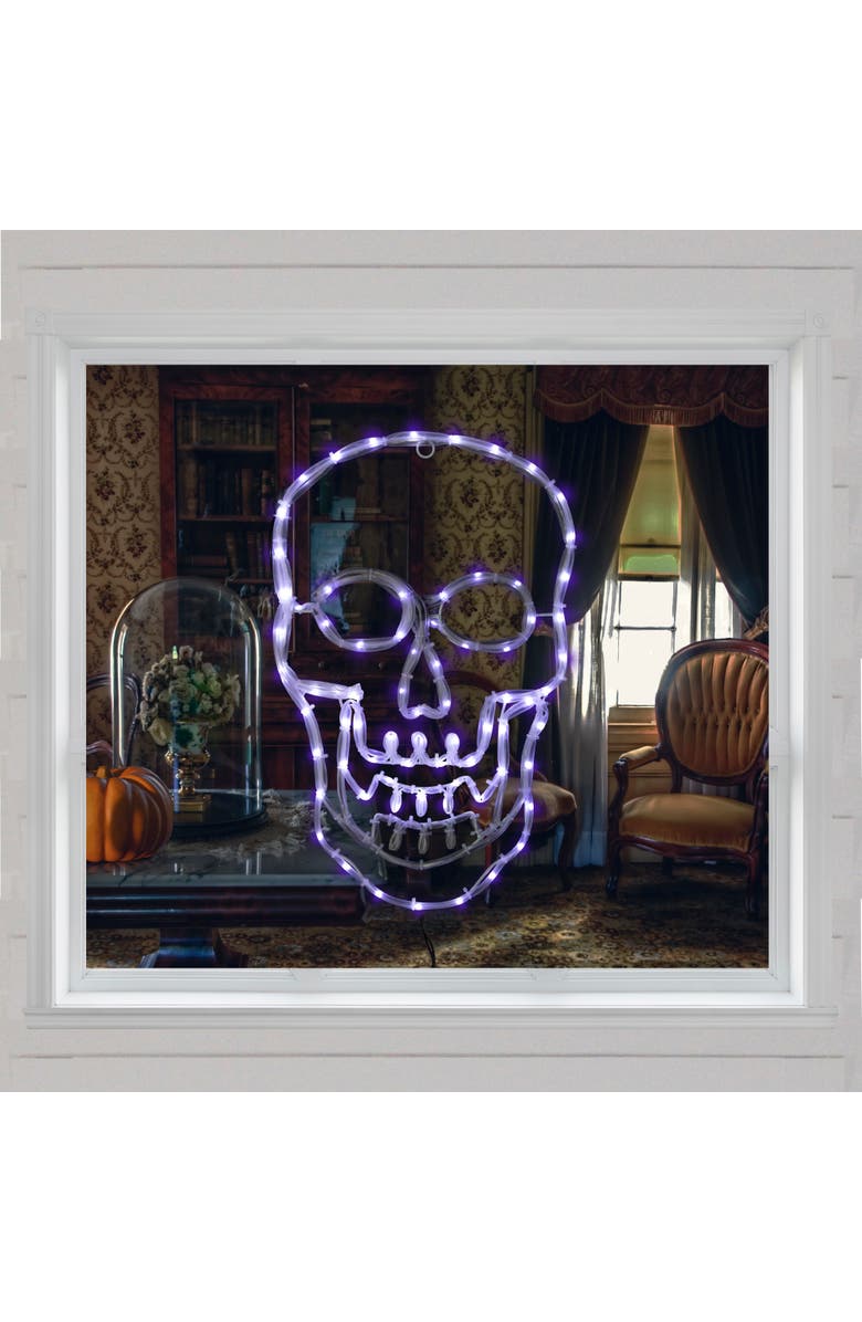 Northlight LED Lighted 4 Function Skull Halloween Window Decoration - 18", Alternate, color, White