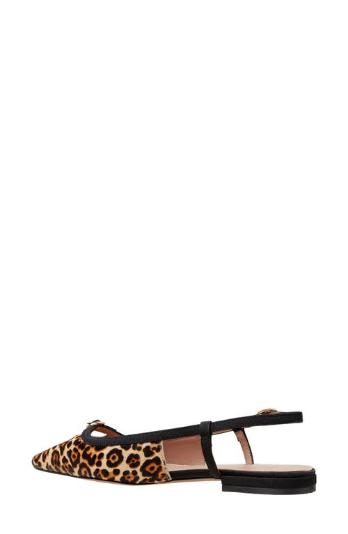 Linea Paolo Cassidy Pointed Toe Slingback Flat