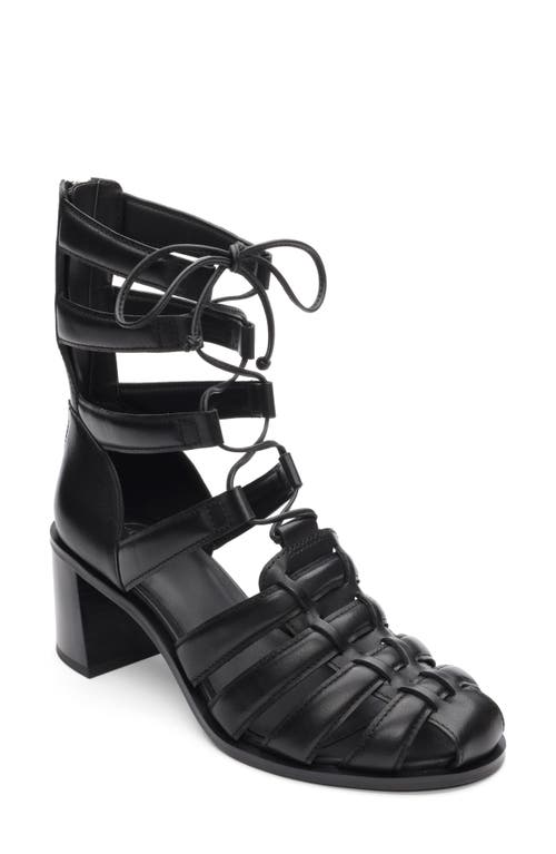 Ash Juvia Lace-up Gladiator Sandal In Black