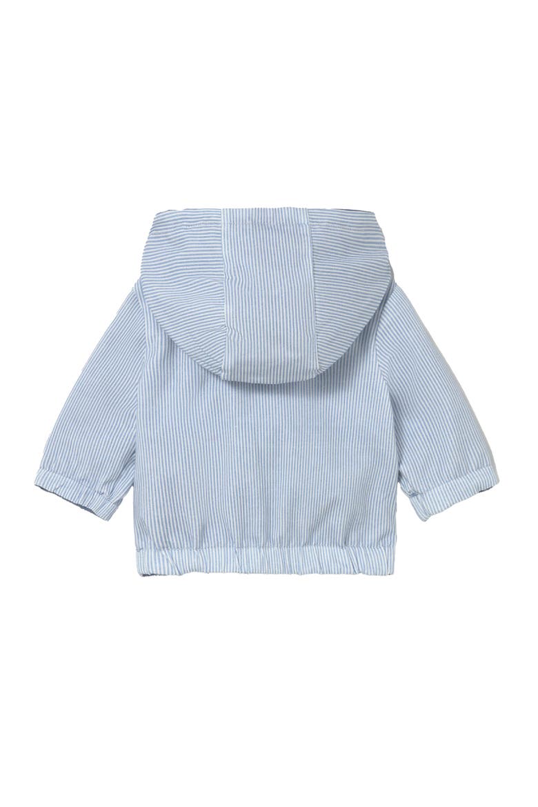 Striped Hooded Jacket, Alternate, color, Light Blue