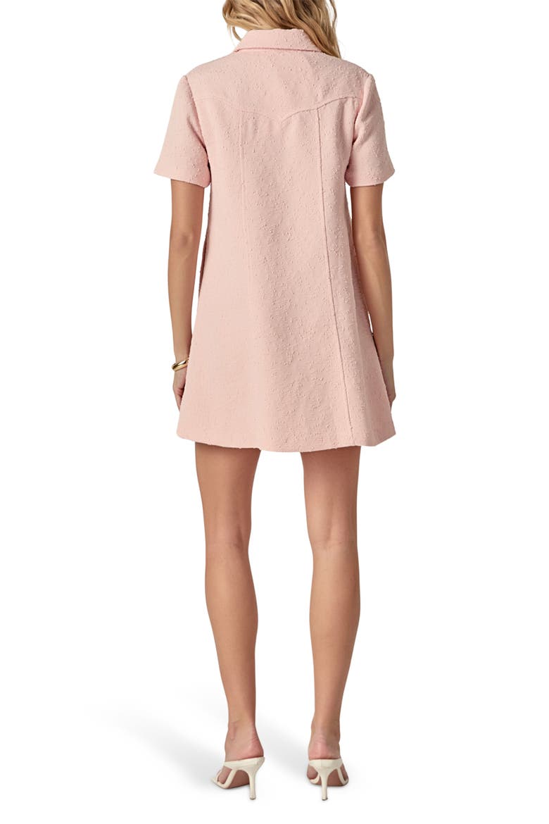 Textured Short Sleeve Mini Shirtdress, Alternate, color, LIGHT PINK