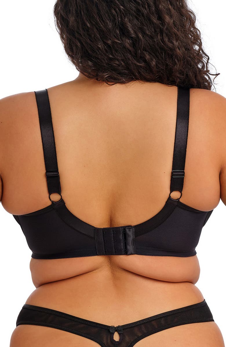 Elomi Teagan Padded Underwire Half Cup Bra, Alternate, color, Rainbow