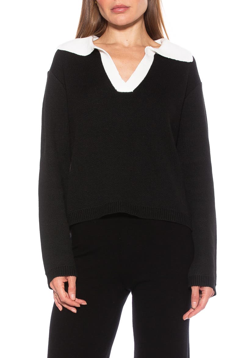 Evander Retro Collared Sweater, Main, color, BLACK