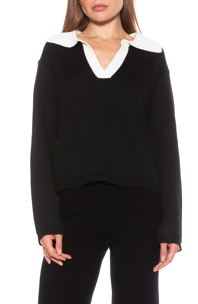 Alexia Admor Evander Retro Collared Sweater, Main, color, Black