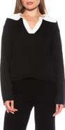 Alexia Admor Evander Retro Collared Sweater