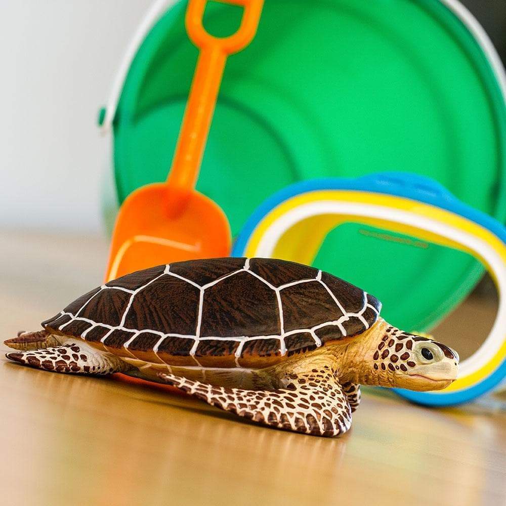 Safari Ltd. Sea Turtle Toy | Nordstrom
