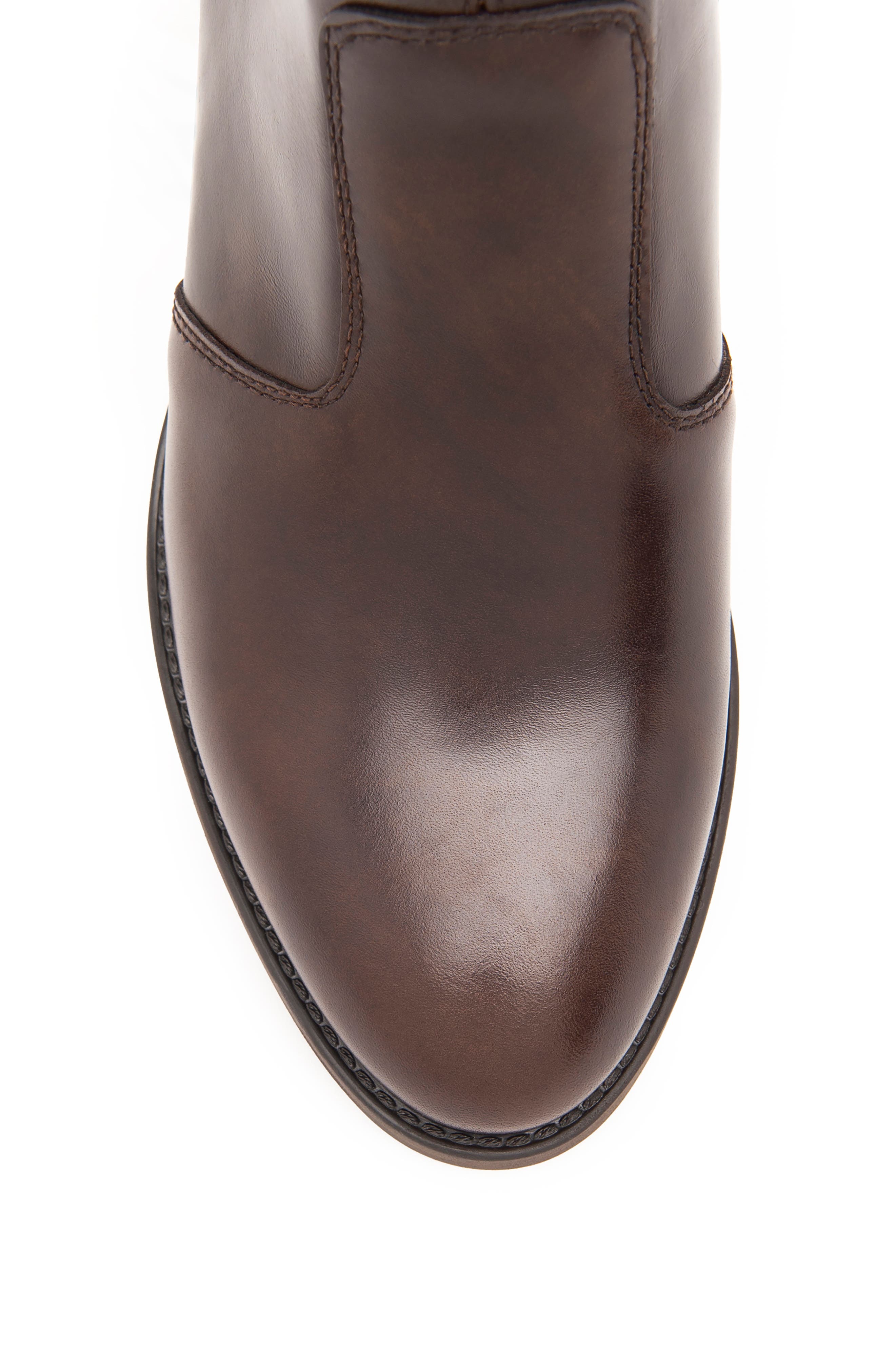 NeroGiardini Ankle Strap Bootie, Alternate, color, Dark Brown