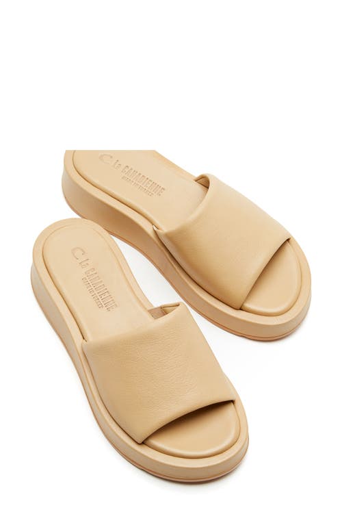 Shop La Canadienne Ami Slide Sandal