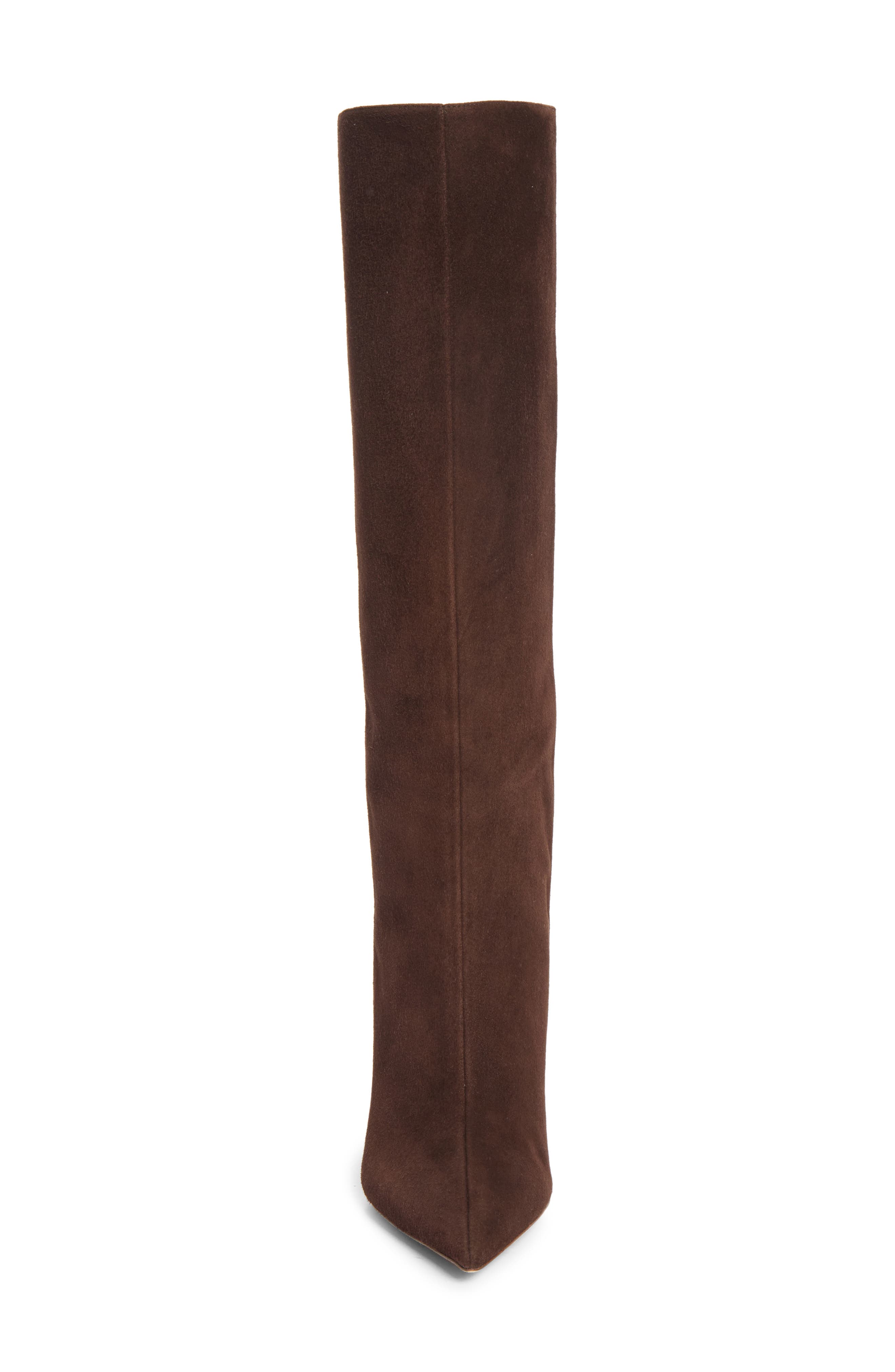 Blake Pointed Toe Knee High Wedge Boot, Alternate, color, CHOCOLATE