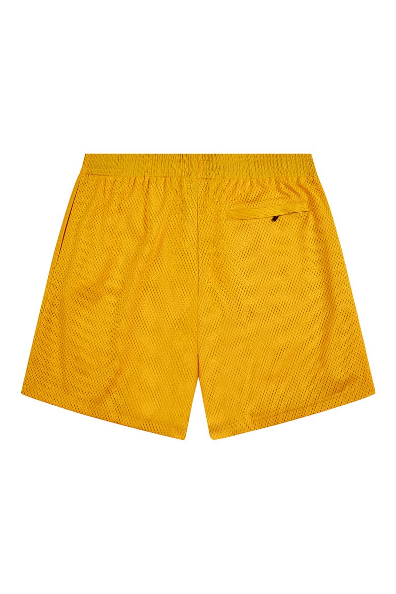Logo Mesh Basketball Shorts, Alternate, color, YELLOW