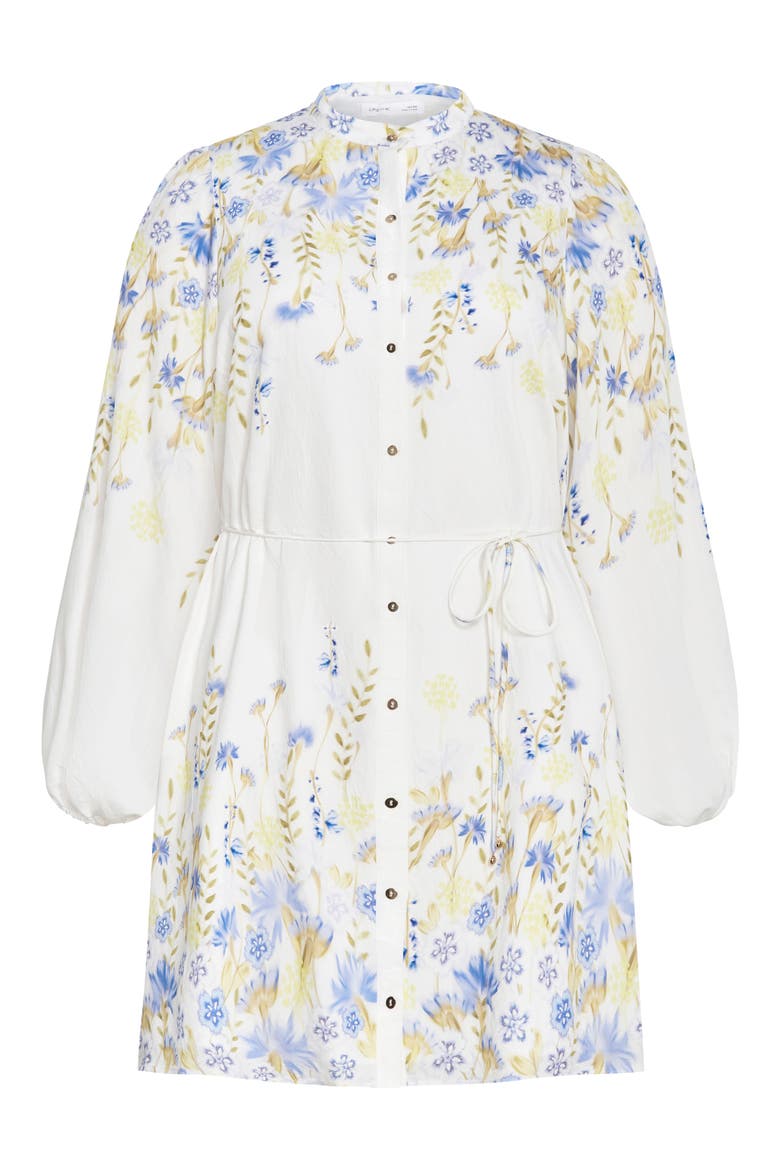 Lilliana Floral Long Sleeve Shirtdress, Alternate, color, MEADOW IVORY