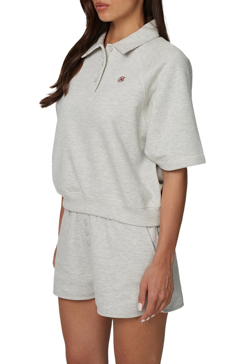 Boxy-Fit Raglan Sweat Polo, Alternate, color, Grey