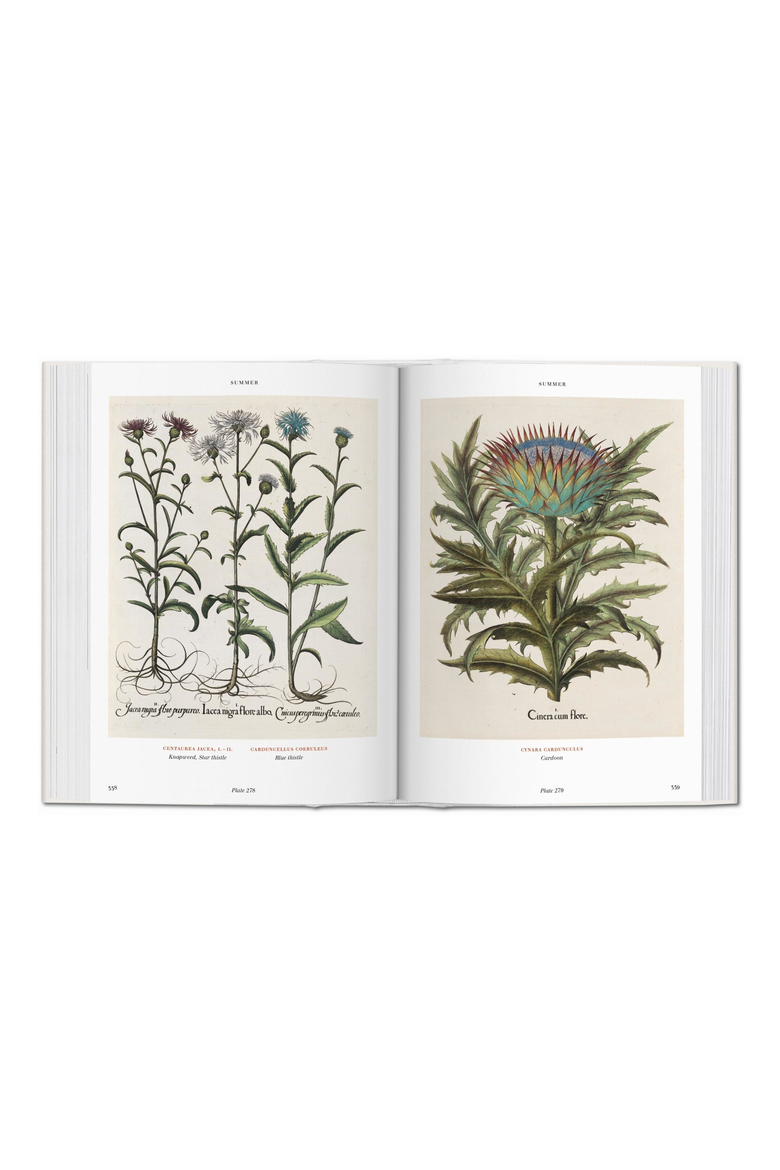 FT THE BOOK OF PLANTS, Alternate, color, WHITE
