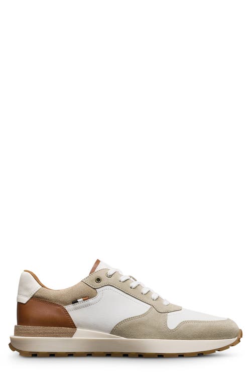 Allen Edmonds Lionel Lace-up Sneaker In White Multi
