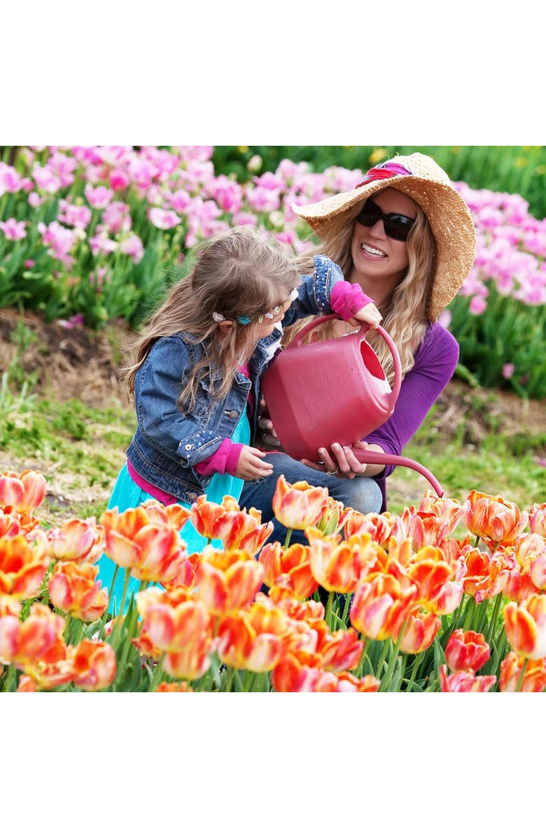 Bloem Aqua Rite 1.1 Gallon (144 Fl Oz) Classic Blue Garden Watering Can, Alternate, color, 