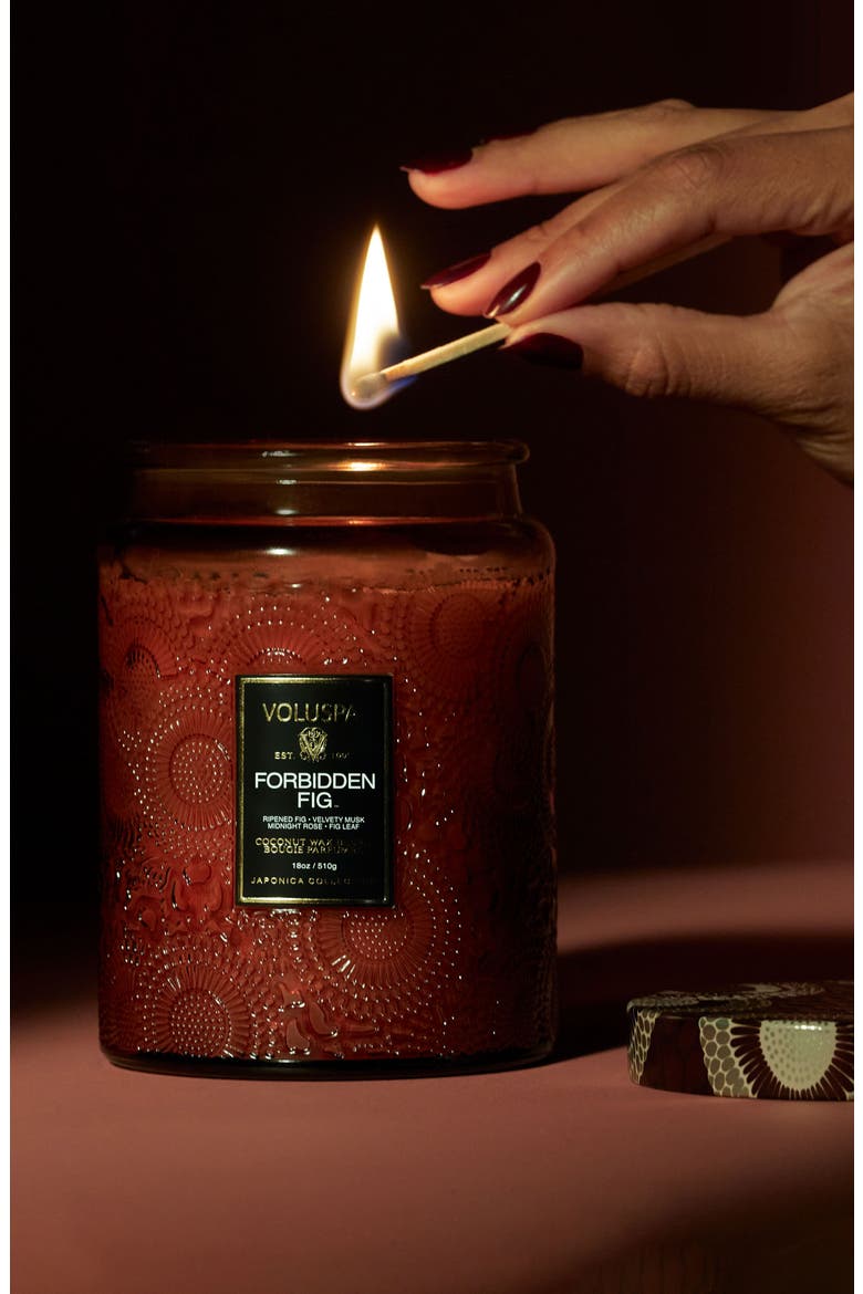 Forbidden Fig Large Jar Candle, Alternate, color, FORBIDDEN FIG