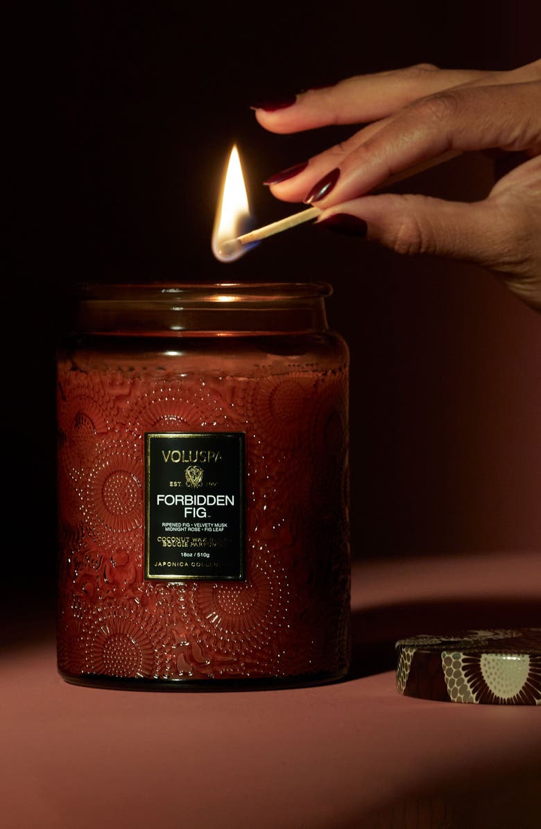 Voluspa Forbidden Fig Large Jar Candle, Alternate, color, Forbidden Fig