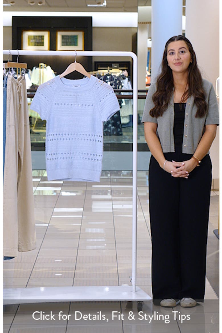 Chloe Raglan Sleeve Semisheer Linen Sweater video