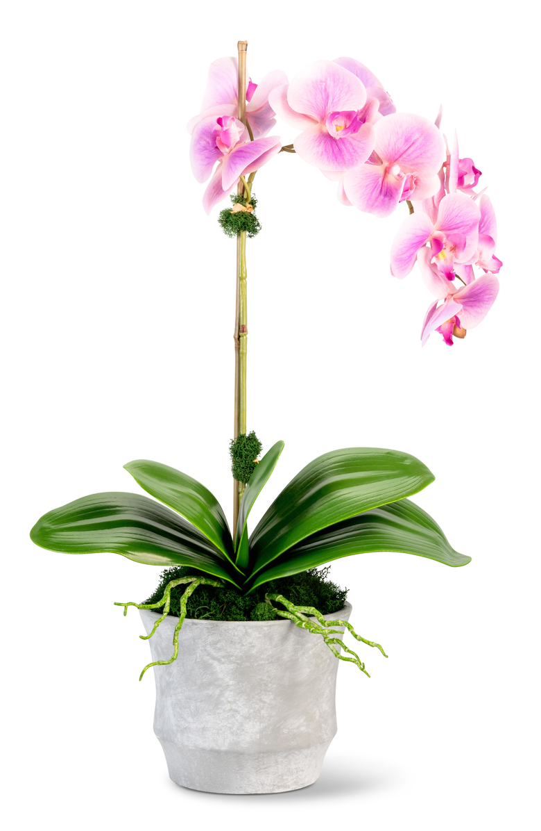 CocoBella Clementine RealTouch Orchid Arrangement, Main, color, Periwinkle