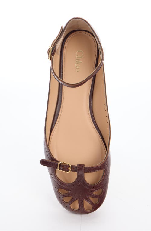 Chloé Chloe Misty Cut-out Leather Ballet Flats In Animal Print