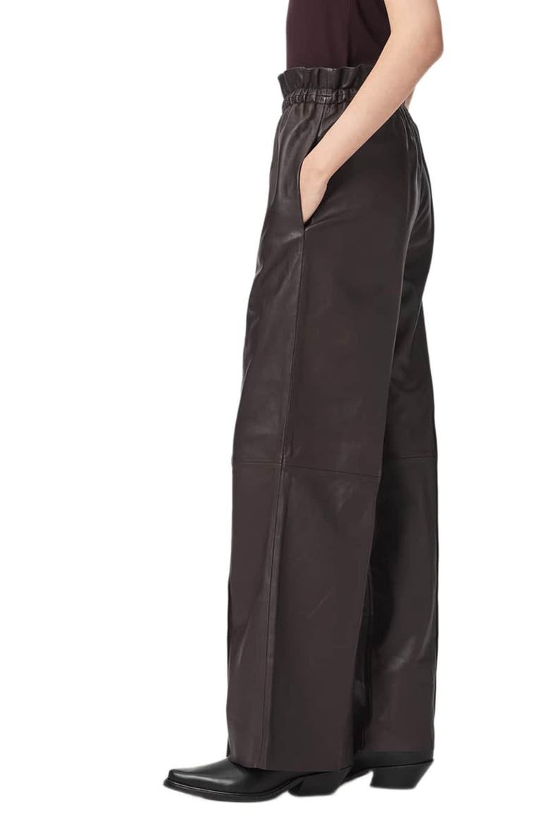 Fran Leather Trousers, Alternate, color, BITTER BROWN