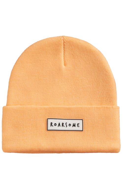 ROARSOME ROARSOME KID'S BEANIE