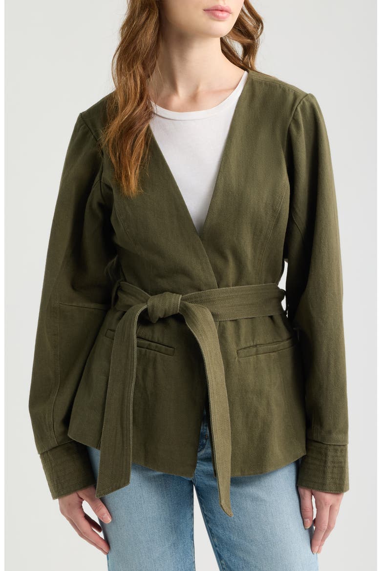 Val Eyelet Cotton Twill Jacket, Alternate, color, WINTER MOSS