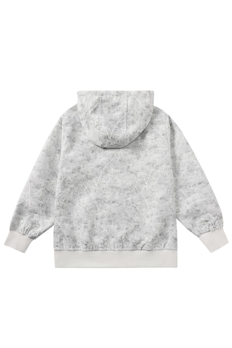 Ash Hoodie, Alternate, color, Grey