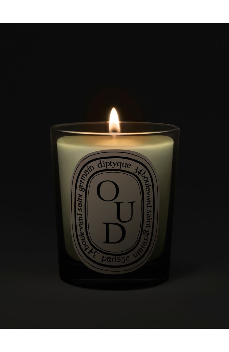 Diptyque Oud Scented Candle, Alternate, color, 