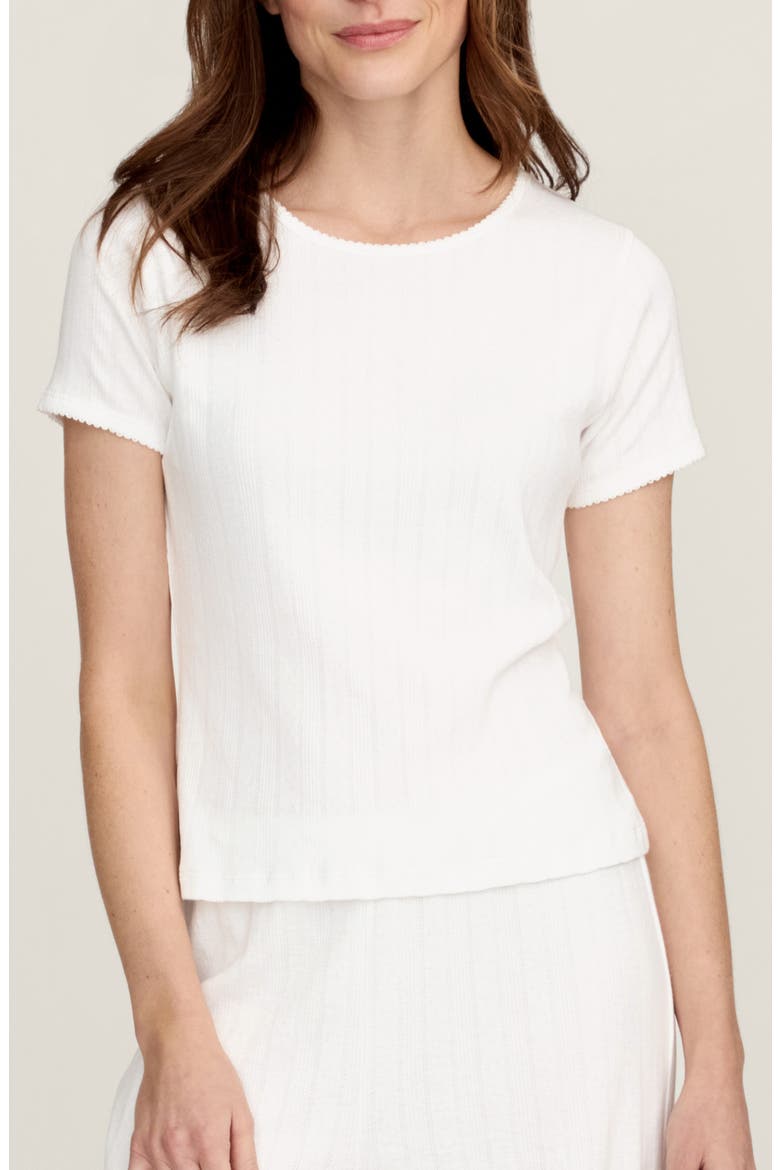 Pima Cotton Pointelle T-Shirt, Main, color, WHITE