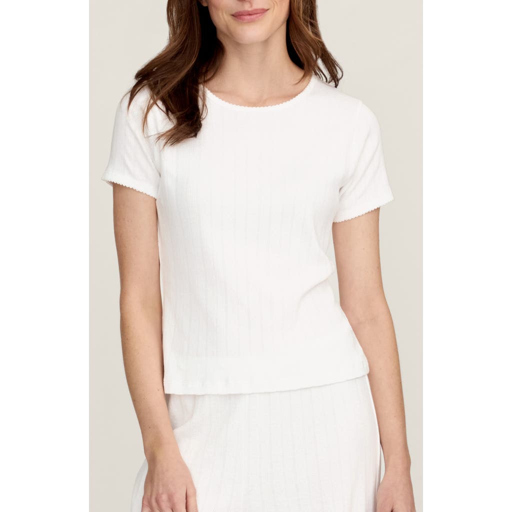 Petite Plume Pima Cotton Pointelle T-Shirt in White at Nordstrom, Size Small